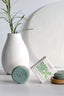Spirulina Mint